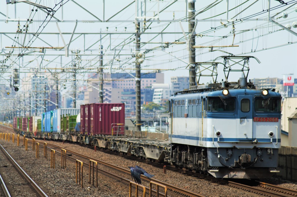 ４月１日　貨物列車とカラス