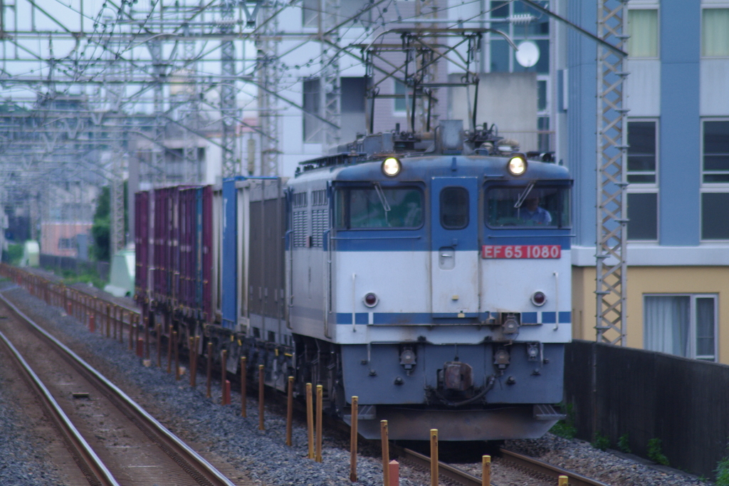 過去の写真 2010年