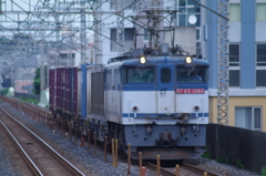 過去の写真 2010年