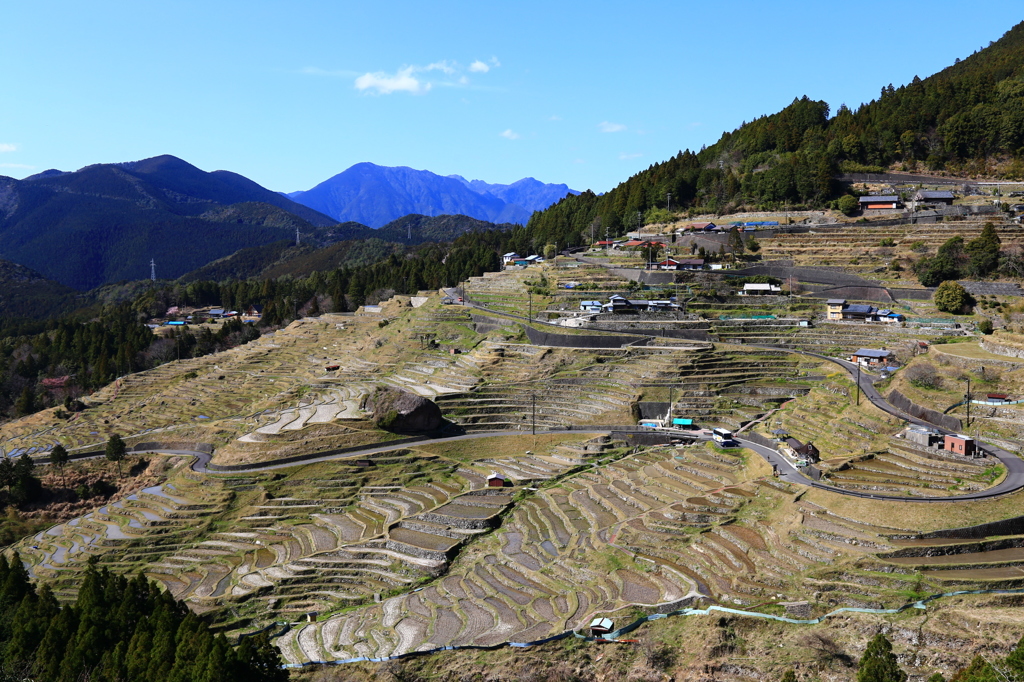 丸山千枚田