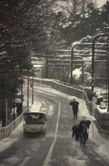 東京の雪