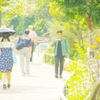 夢みたものは