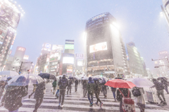 雪の渋谷