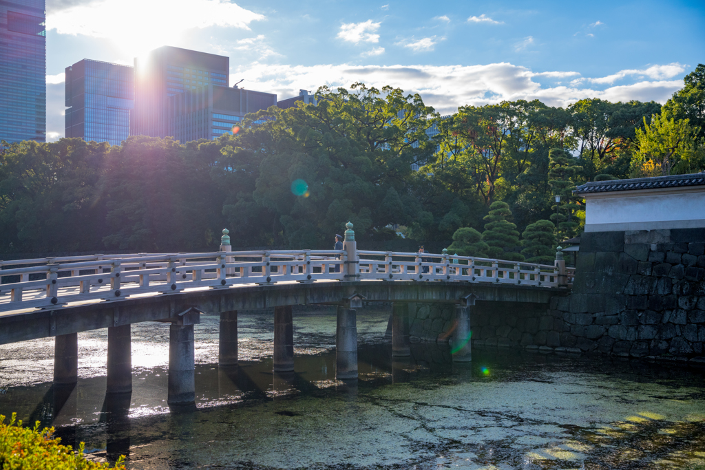 TOKYOmorning1