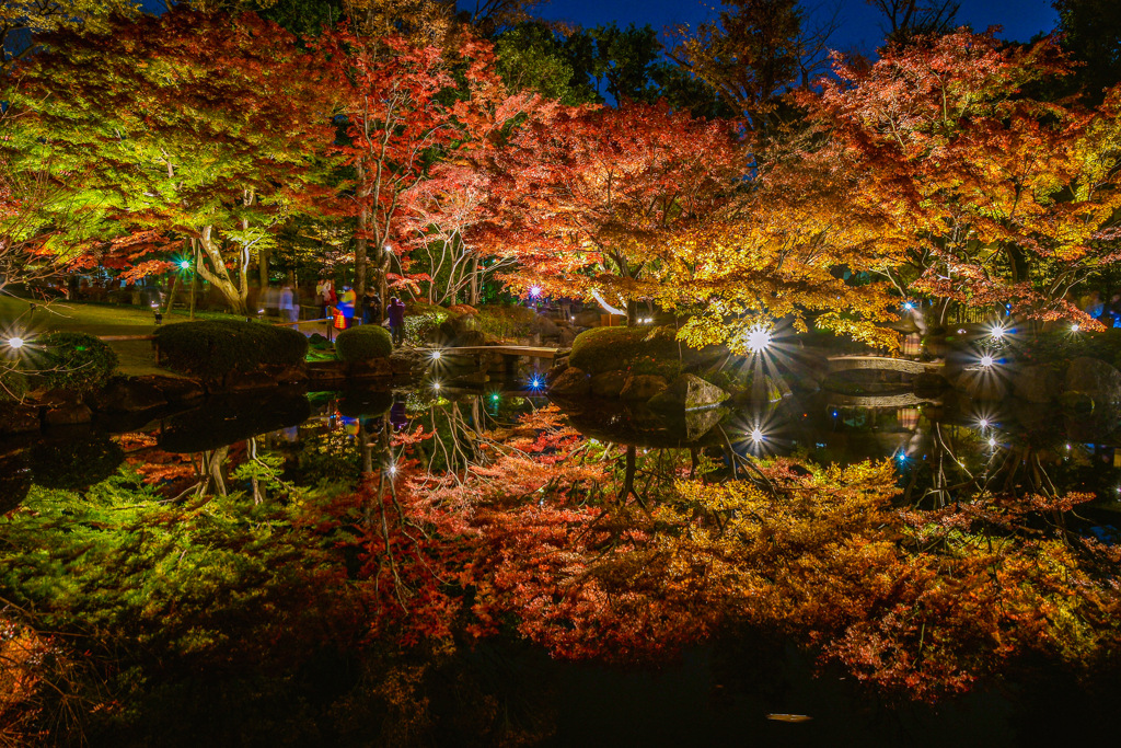 紅葉のリフレクション