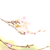 秋なのに