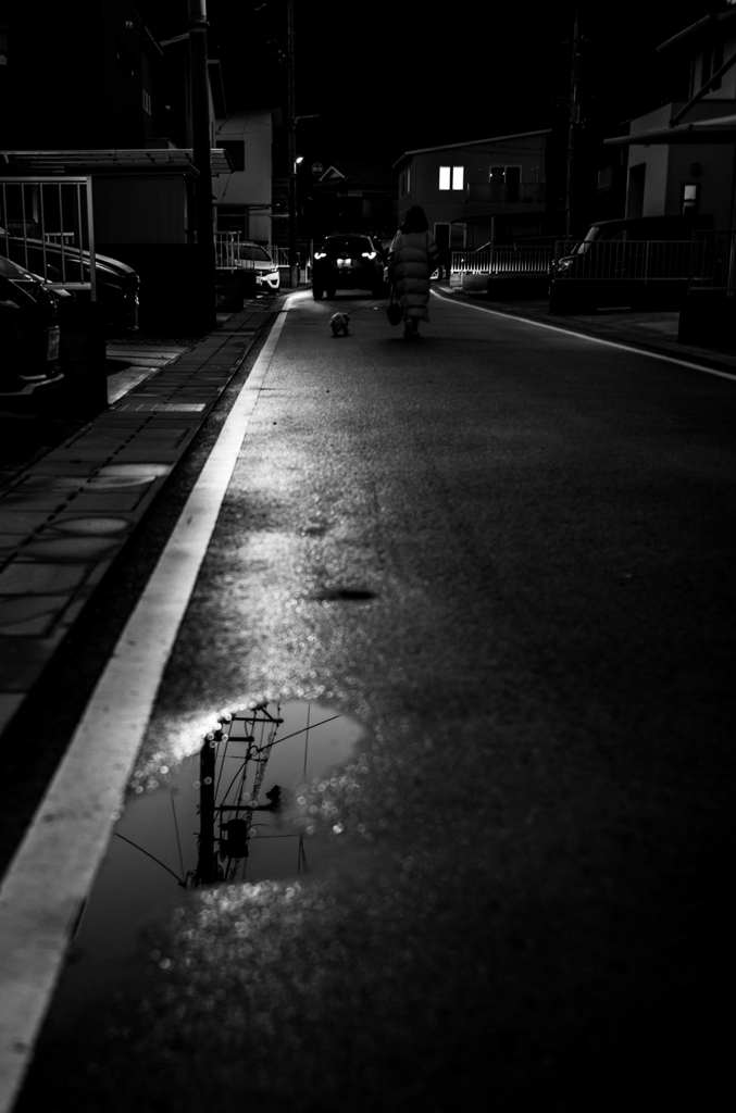 長閑な散歩道から１２１（よるんぽ）