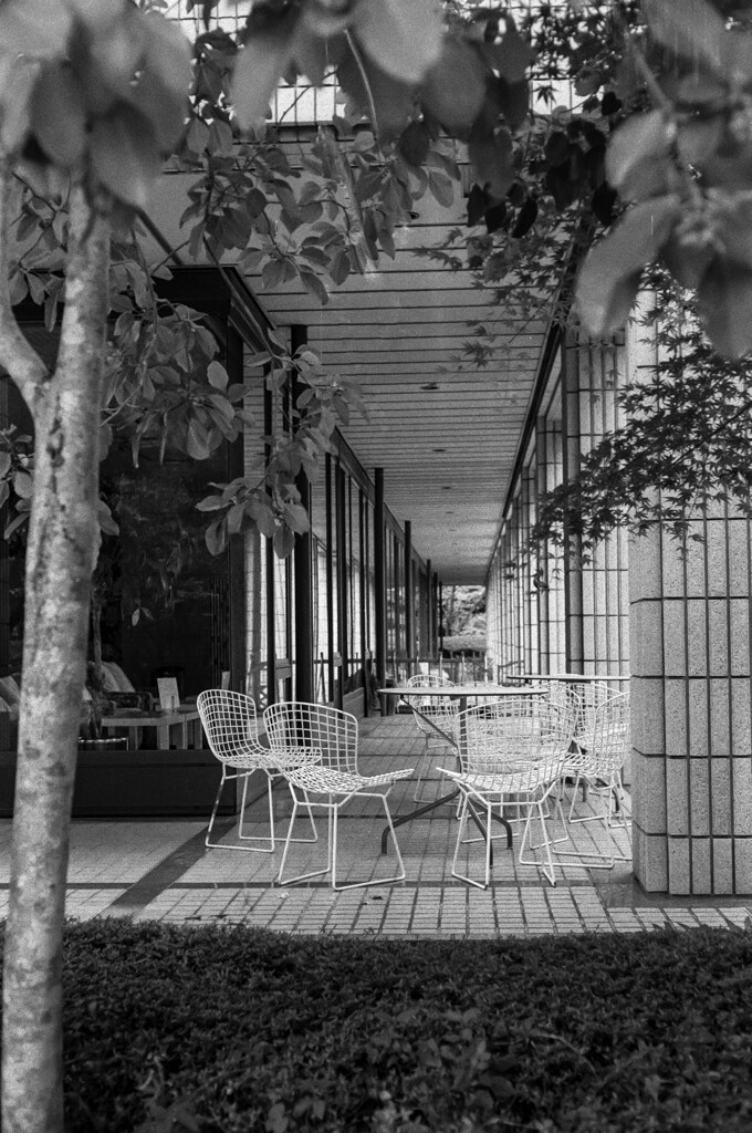 公園にて