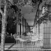 公園にて