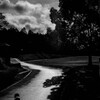 公園にて（散歩道）