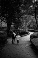 公園にて（雨上がり）