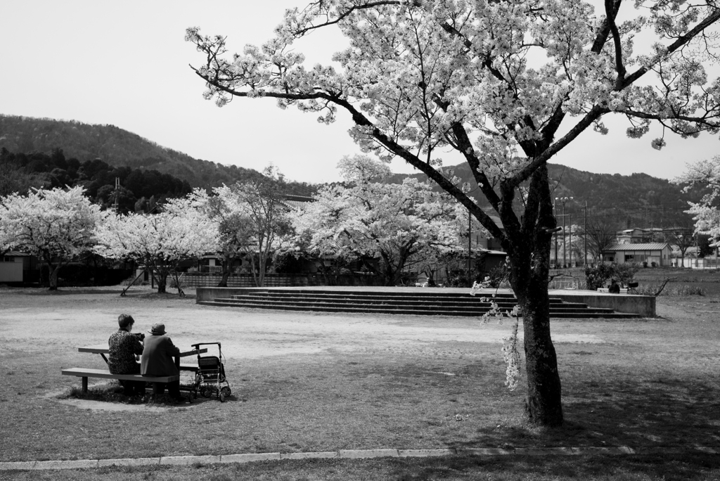 静かな公園
