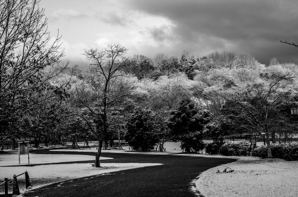 雪化粧（いつもの公園）