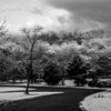 雪化粧（いつもの公園）