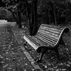 公園にて