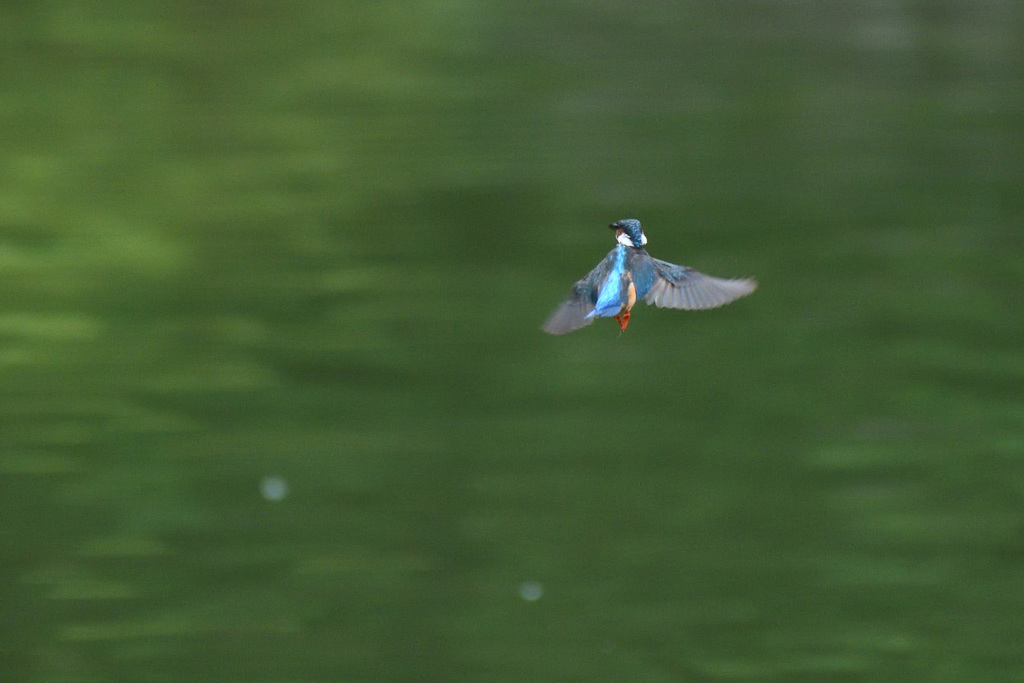 低空フォバ（２）