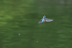 低空フォバ（２）