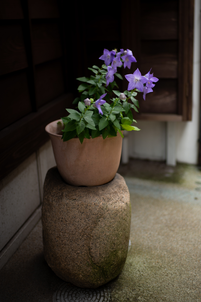 ひがし茶屋街にて2