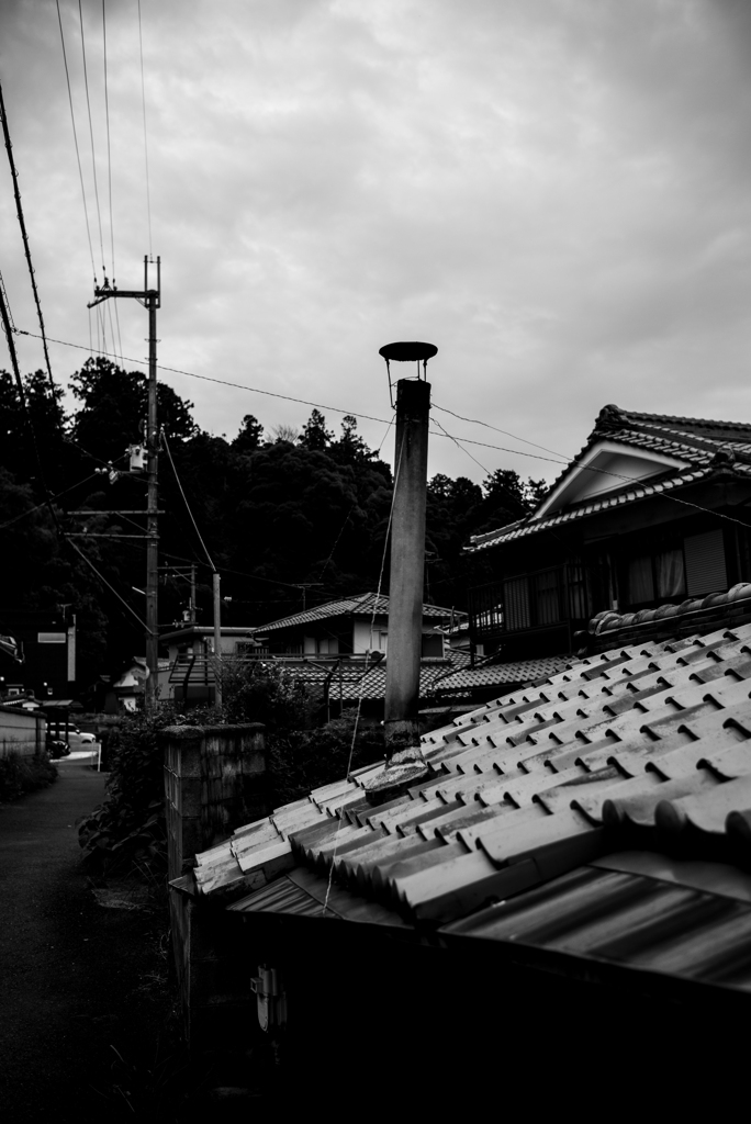 長閑な散歩道から４２（梅雨空）