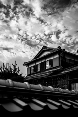 長閑な散歩道から５５（見上げる）