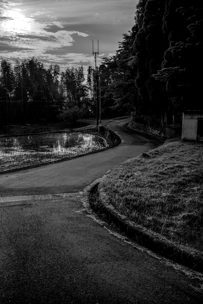 長閑な散歩道から４３