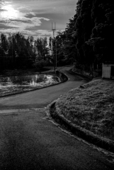 長閑な散歩道から４３