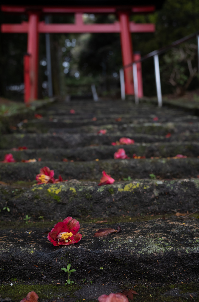 長閑な散歩道から１７１（氏神さま）