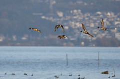 朝日のごとくさわやかに♪