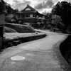 散歩道から3
