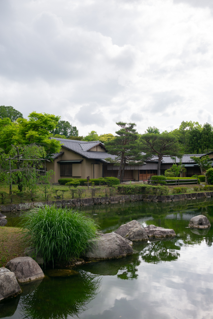 久々の公園