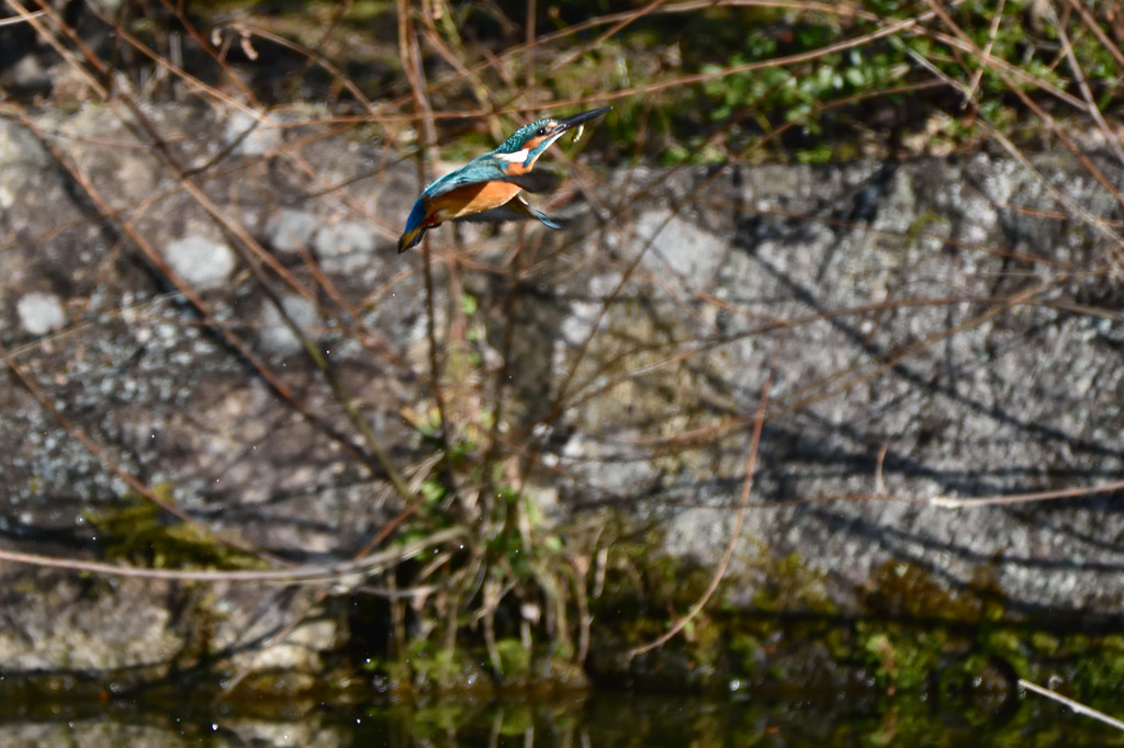 飛び出しその後
