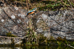 飛び出しその後