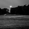 公園にて（草原の海）
