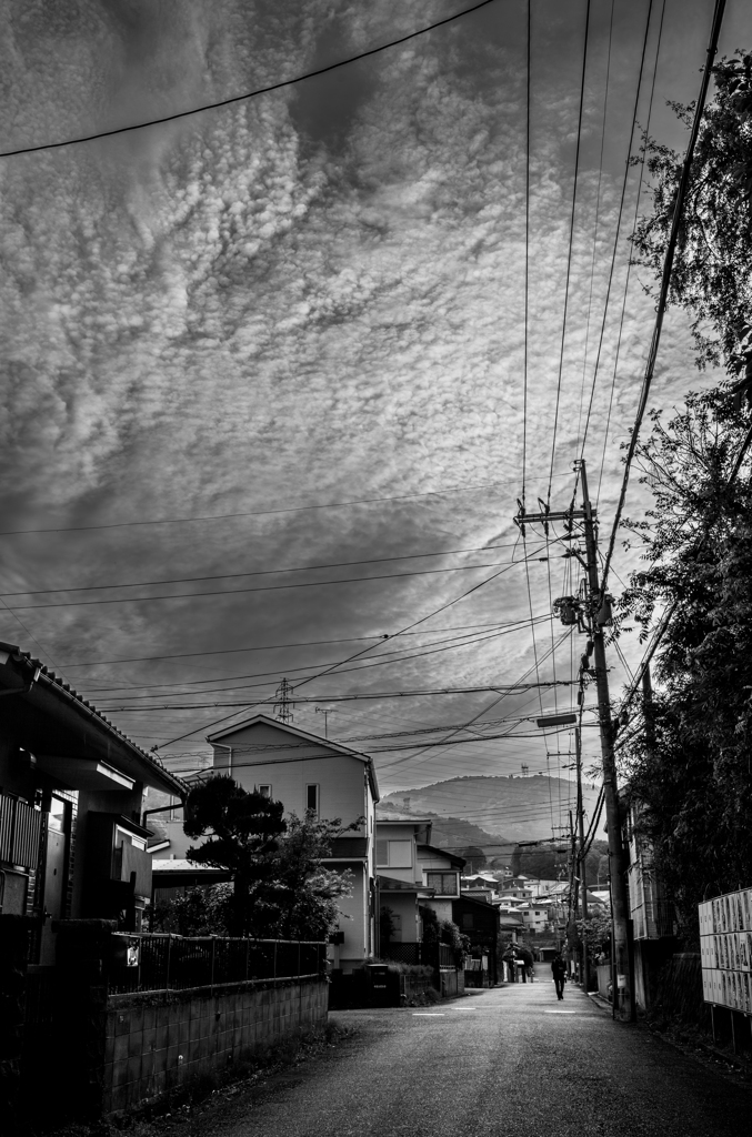 長閑な散歩道から１９０