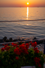 夕日（淡路）