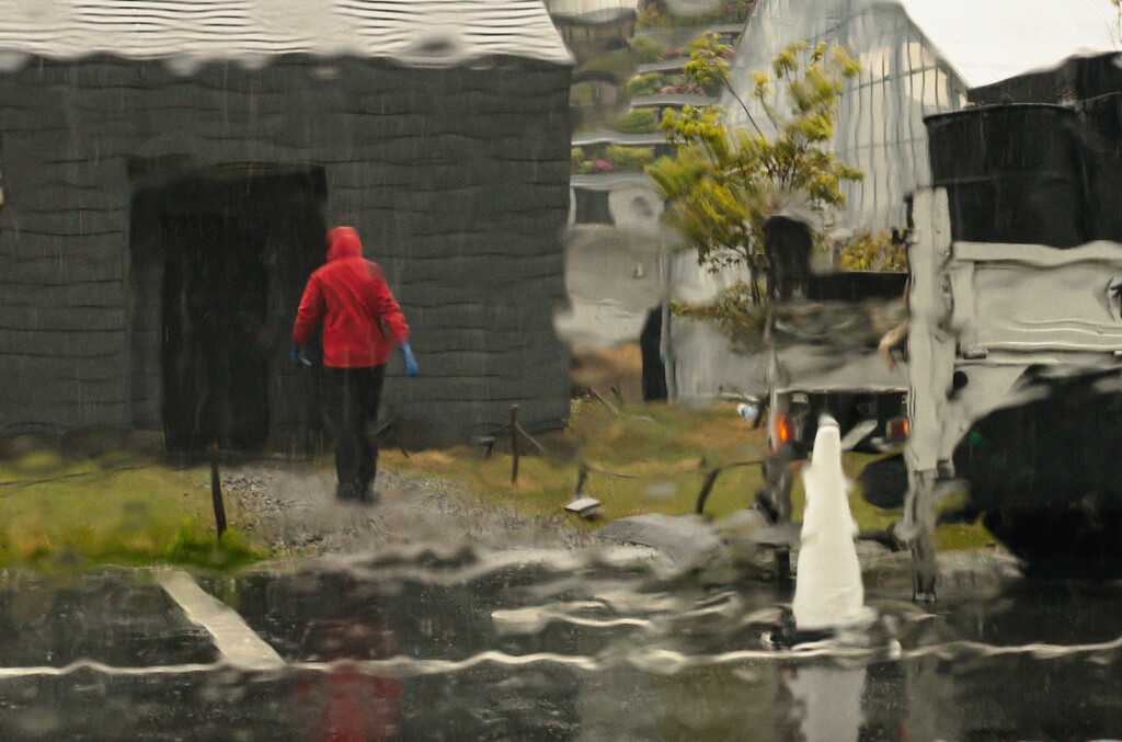 雨のVISONより