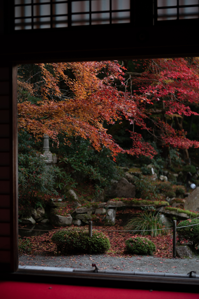紅葉１