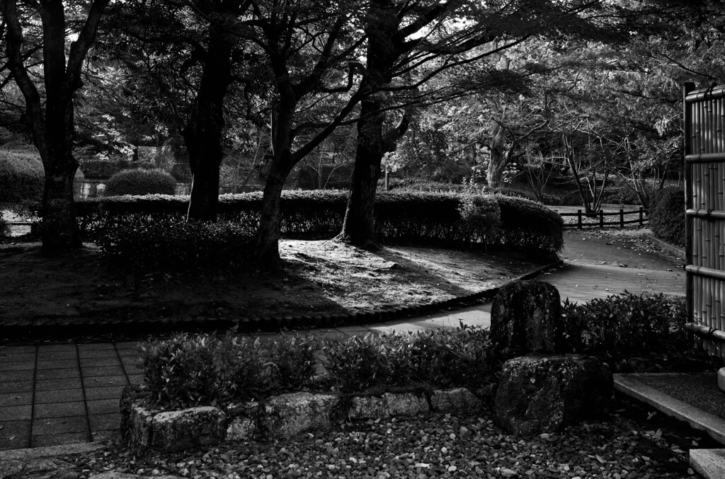 公園にて（朝の陽光）