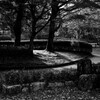 公園にて（朝の陽光）