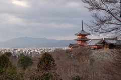2023年初詣
