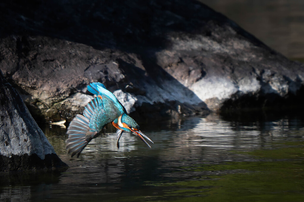 カワちゃんのロックオン
