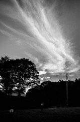空模様（いつもの公園）