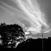 空模様（いつもの公園）