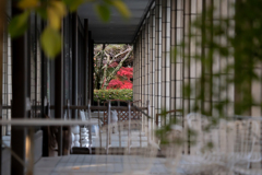 ガラスの無い窓