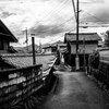 長閑な散歩道から１９５（雨上がりの朝）