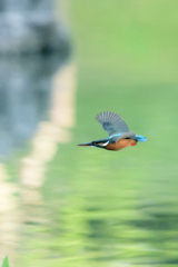 水平飛行