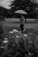 雨の公園（その２）