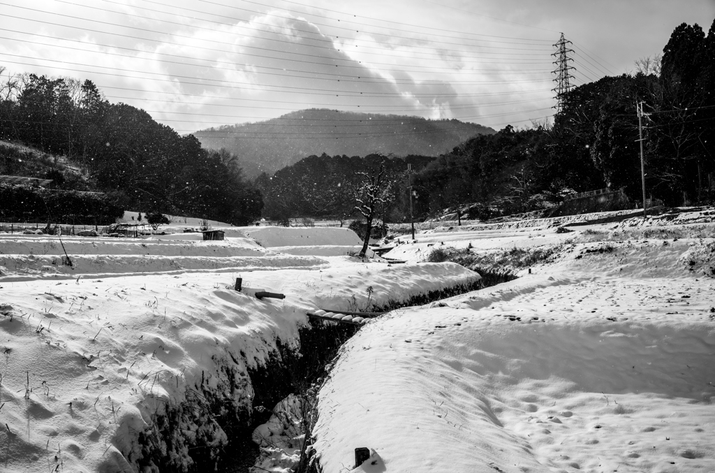 長閑な散歩道から１３８（里山の雪化粧）