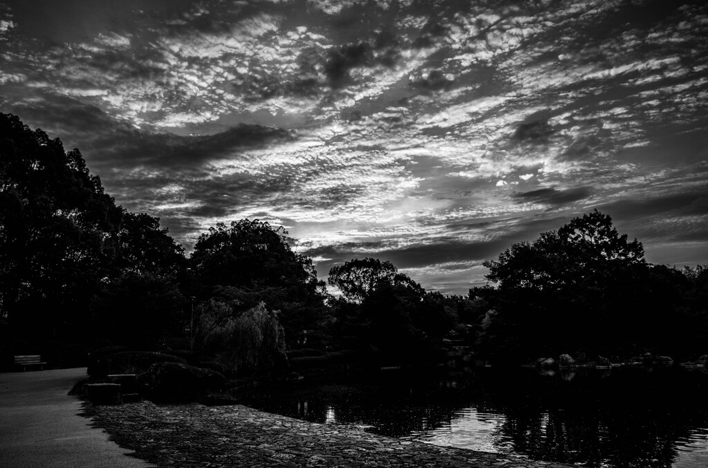 朝焼（いつもの公園）