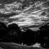 朝焼（いつもの公園）